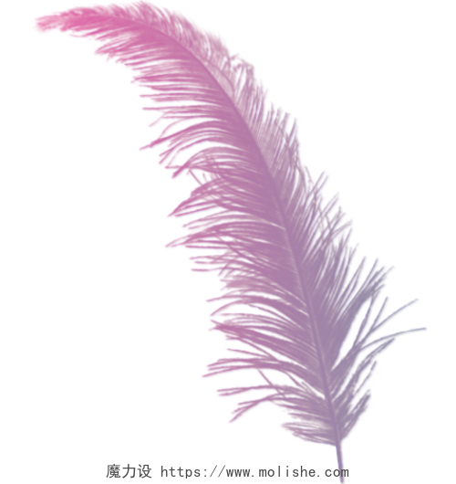   创意翅膀图片羽毛翅膀 紫色唯美